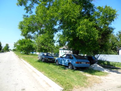 VasilyevkaBel 6