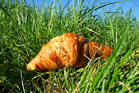 Pastry food nutrition
