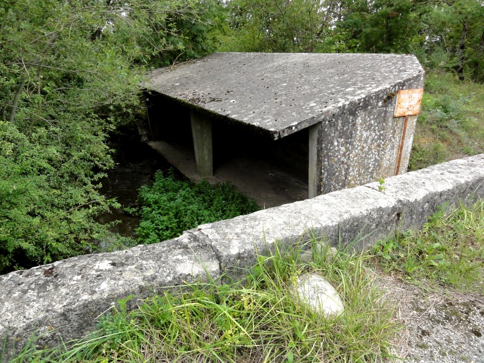 Vaucouleurs (Meuse) ancien lavoir (01)