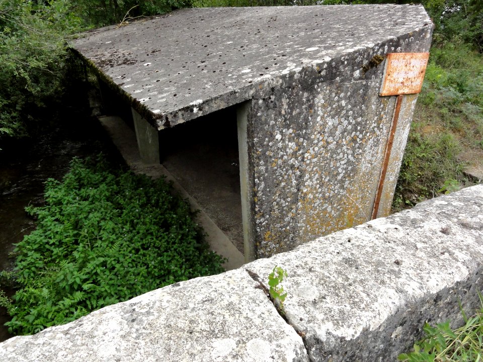 Vaucouleurs (Meuse) ancien lavoir (02)