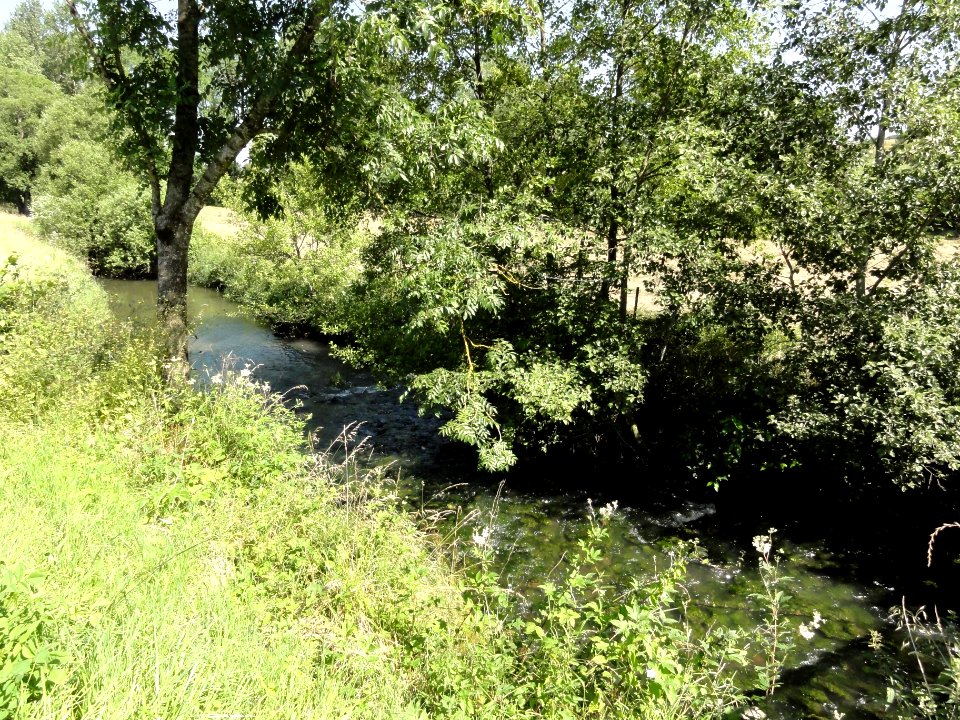 Vaxainville (M-et-M) la Verdurette (01)