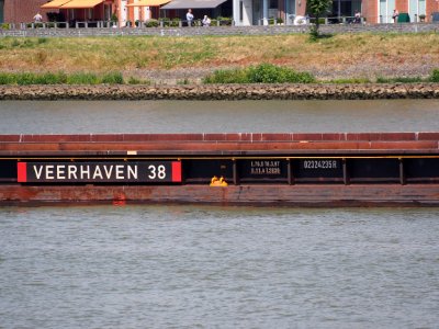 Veerhaven 38 - ENI 02324235 R pic1