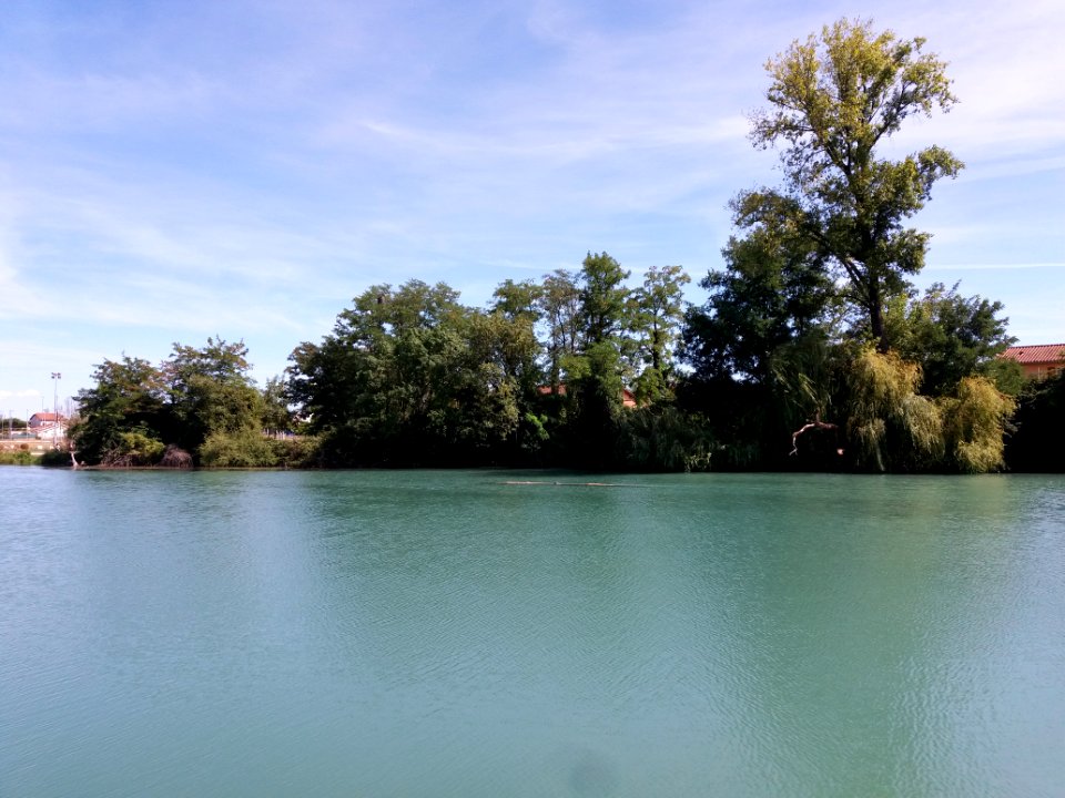 Vaulx-en-Velin - Canal de Jonage - Arbres au bord du chemin de Contre-Halage