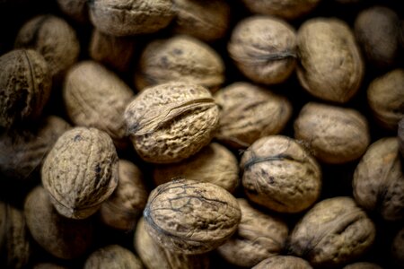 Walnuts food brown
