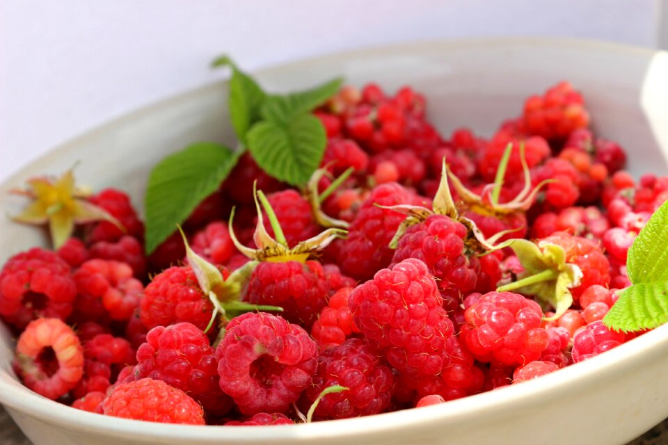 Leaf green berry
