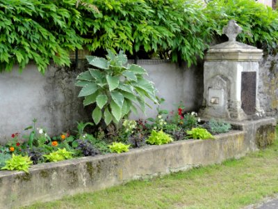 Vathiménil (M-et-M) fontaine A
