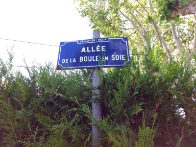 Vaulx-en-Velin - Allée de la Boule en Soie, plaque