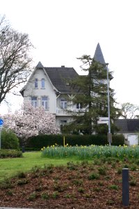 Vandenbergh1 kleve