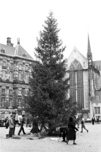 Vandaag is op de Dam te Amsterdam weer een grote kerstboom geplaatst, Bestanddeelnr 931-2065
