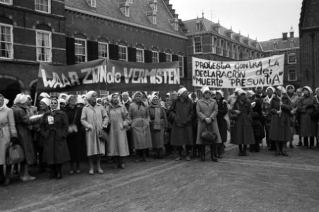 Vandaag op Binnenhof in Den Haag gedemonstreerd uit solidariteit met de zgn. Dwa, Bestanddeelnr 931-0894