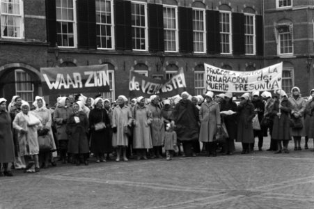 Vandaag op Binnenhof in Den Haag gedemonstreerd uit solidariteit met de zgn. Dwa, Bestanddeelnr 931-0895