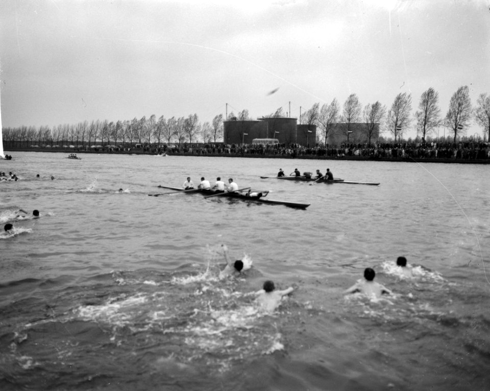 Varsity op Amsterdam-Rijnkanaal (opgewonden supporters), Bestanddeelnr 913-8739