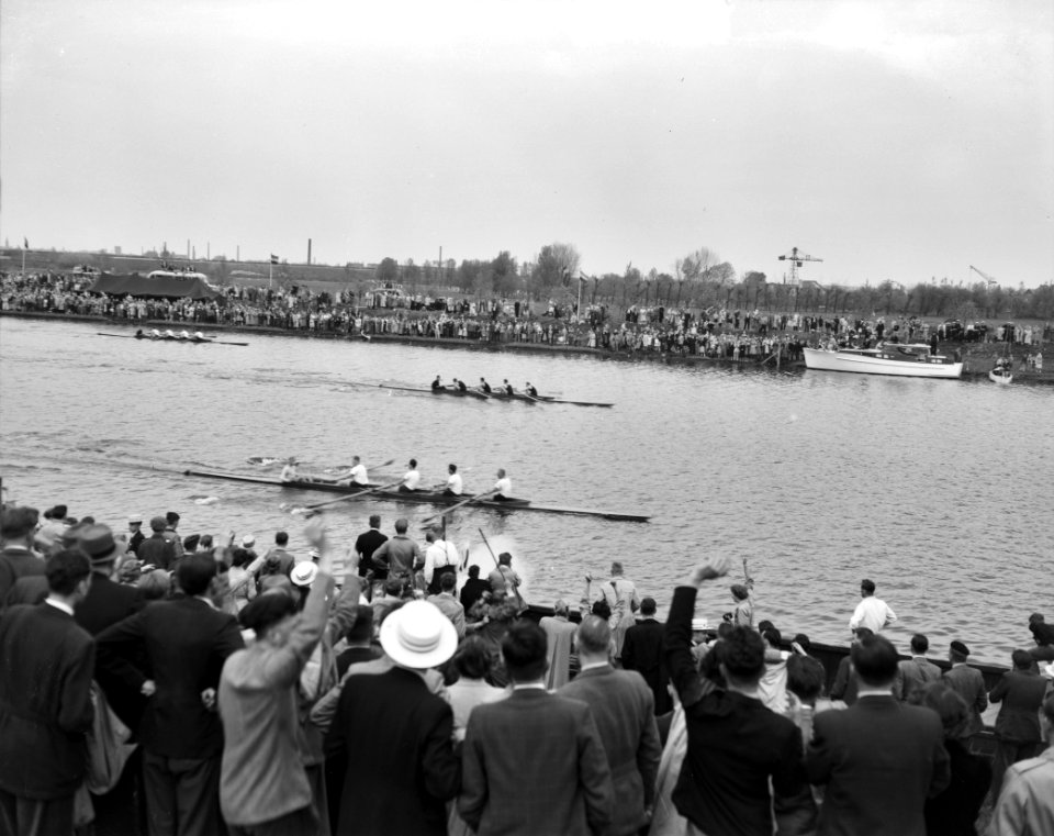 Varsity Njord Oudevier winnaar, Bestanddeelnr 904-5528