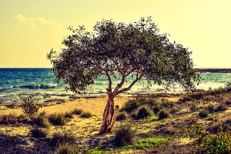 Nature scenery makronissos