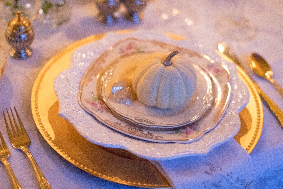 Vintage china celebration thanksgiving