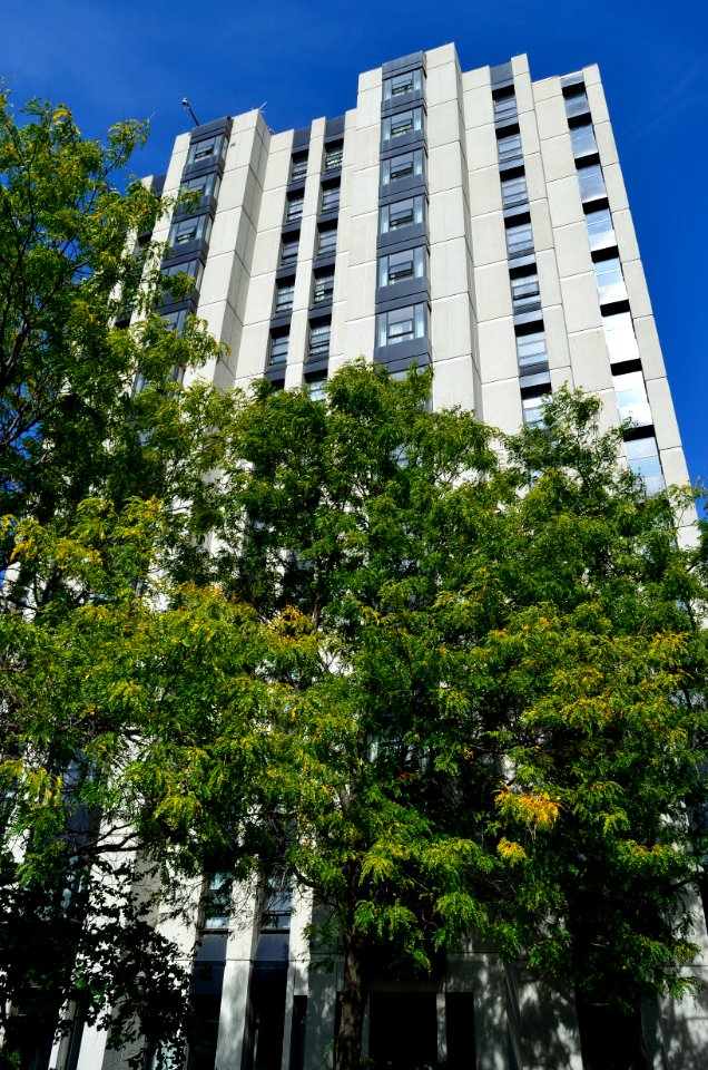 VanierResidenceYorkU3