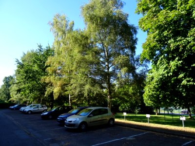 Varkausring, Pirna DSC06603