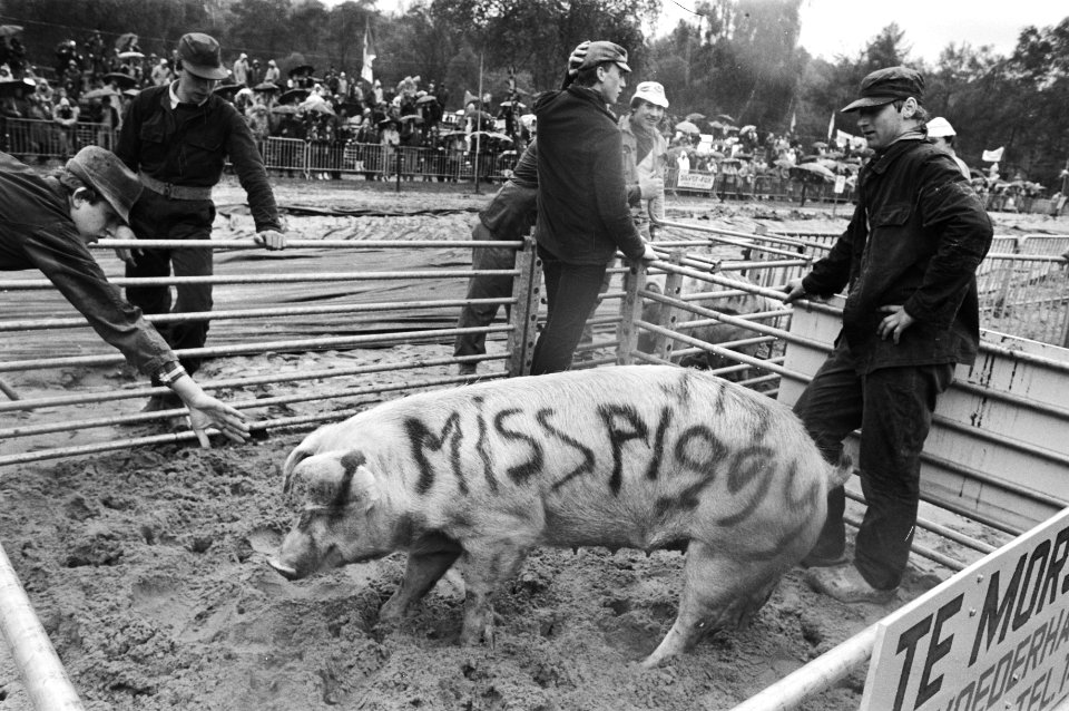 Varken Miss Piggy klaar voor de strijd, Bestanddeelnr 932-5875