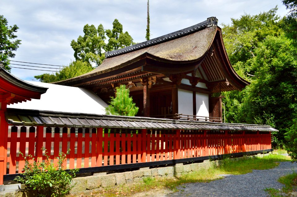 Uji-jinja, honden-1