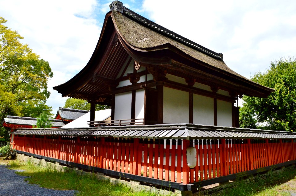 Uji-jinja, honden-2
