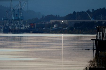 Under The Portland Steel Bridge (180392315)