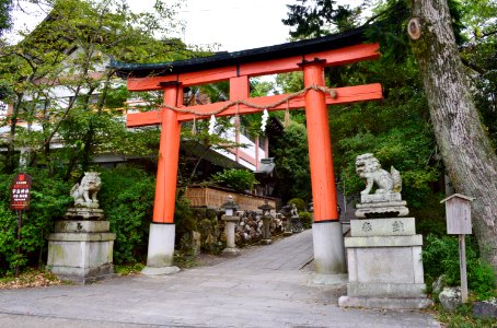 Uji-jinja, torii