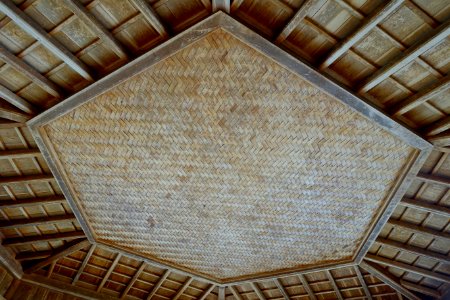 Ukimi-do ceiling - Nara Park - Nara, Japan - DSC07466