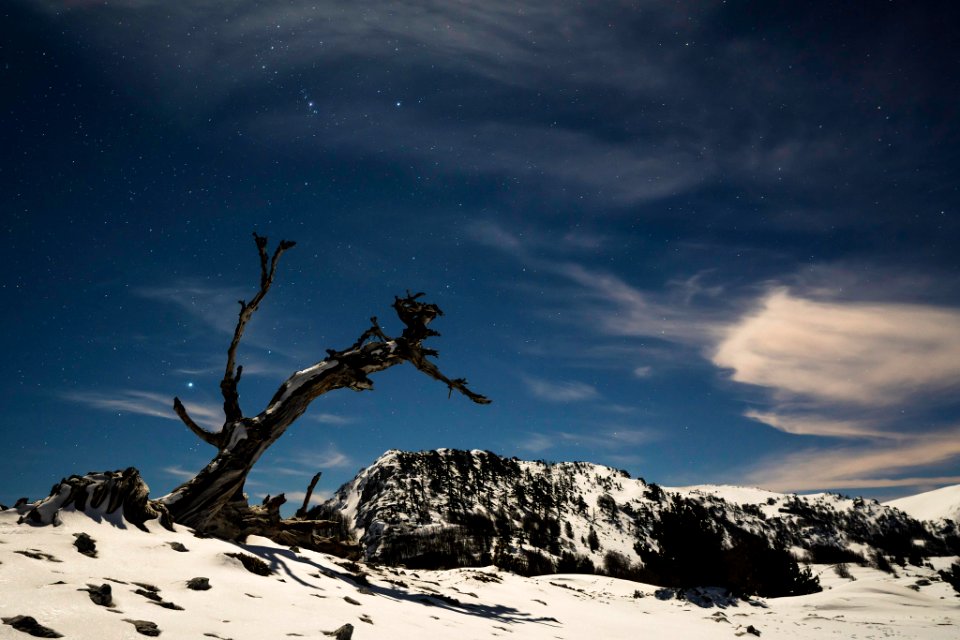 Under The Moonlight (244971549)