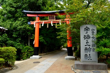 Ujigami-jinja, torii