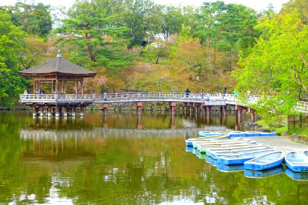 Ukimi-do - Nara Park - Nara, Japan - DSC07456
