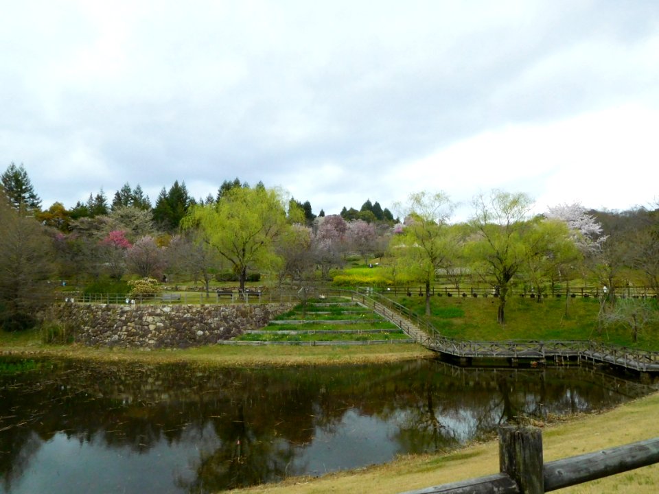 Uji City Botanical Garden DSCN2763