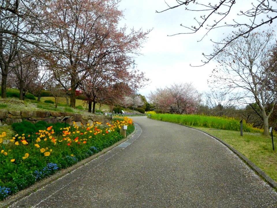 Uji City Botanical Garden DSCN2768