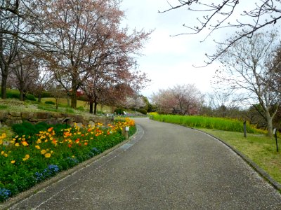 Uji City Botanical Garden DSCN2768