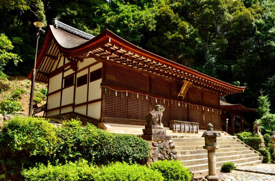 Ujigami-jinja, honden