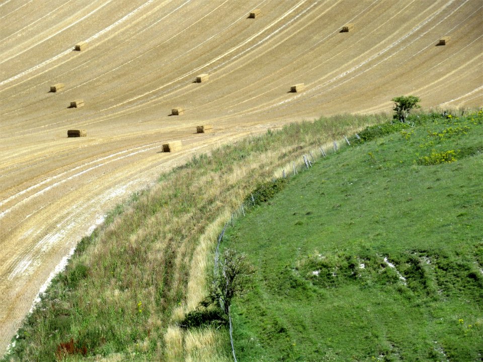 Under Firle Beacon 2