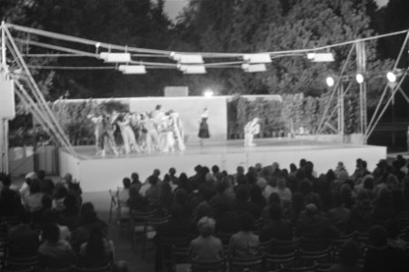 Uitvoering van Het Nationale Ballet, Bestanddeelnr 924-6298
