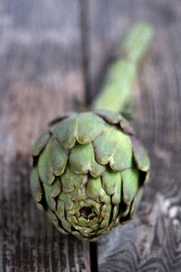 Vegetable fresh vegetarian