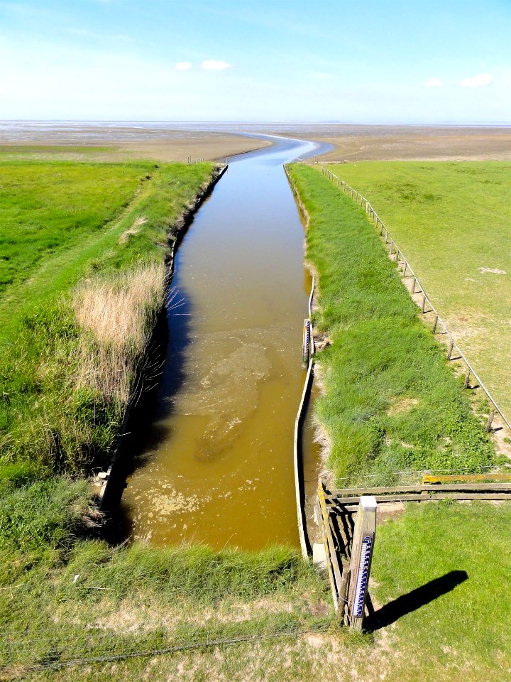 Uitwatering2 Het Bildt Waddenzee HG Miedemagemaal