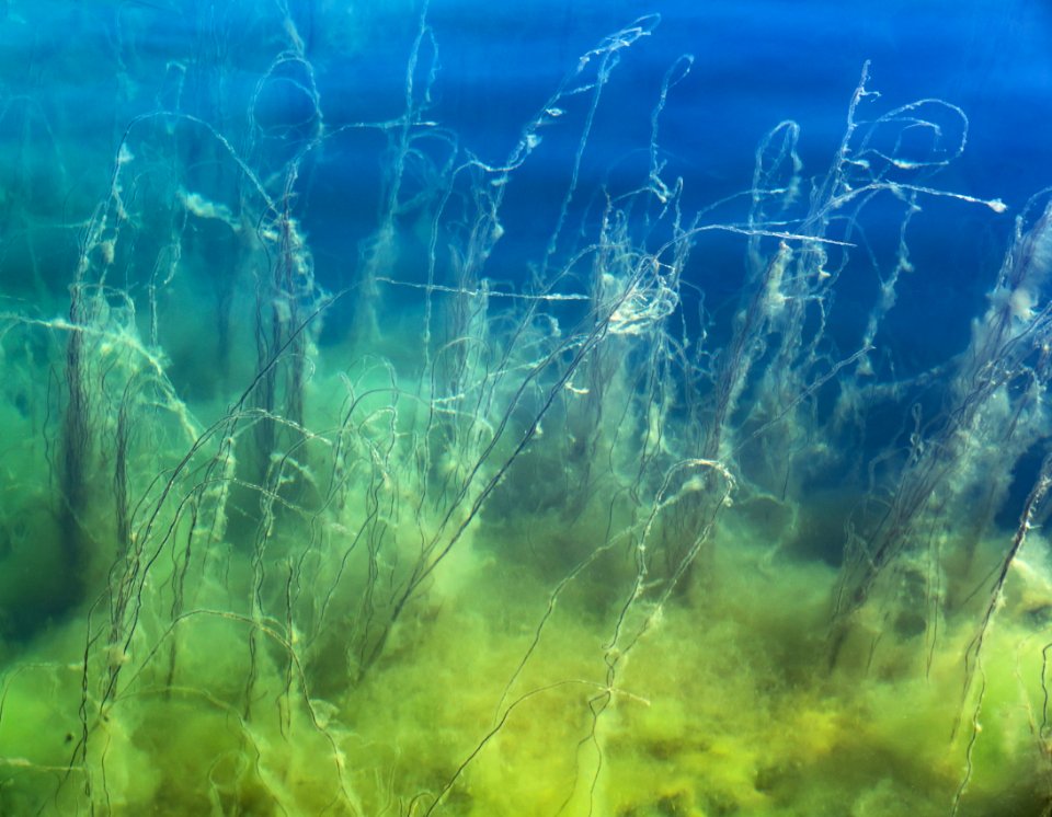 Underwater slope in Gullmarn fjord 1