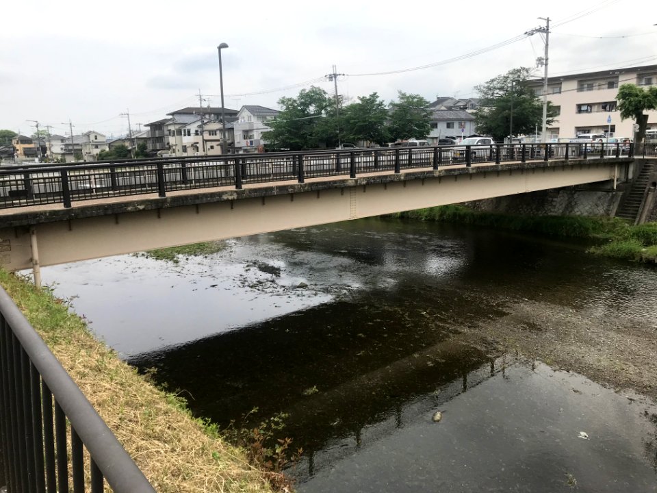 Umahashi pedestrian bridge 20200526