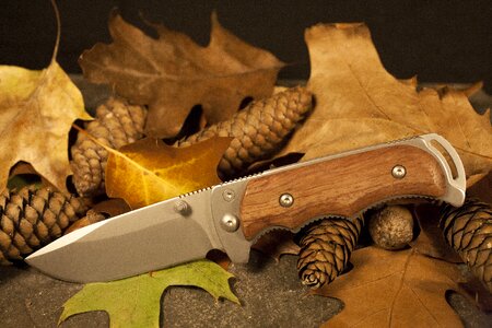 Autumn hunting survival