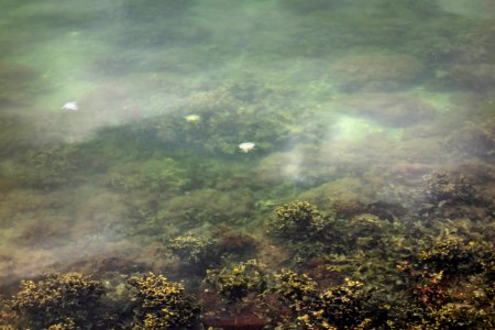 Underwater landscape in Brofjorden at Sandvik 3