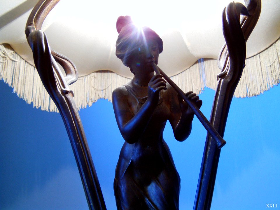 Une Dame Avec Son Instrument De Musique (64703173)