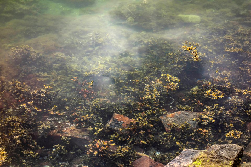 Underwater landscape in Brofjorden at Sandvik 1