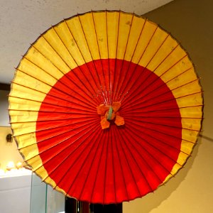 Umbrella - Ishikawa Prefectural Museum of Traditional Arts and Crafts - Kanazawa, Japan - DSC09926