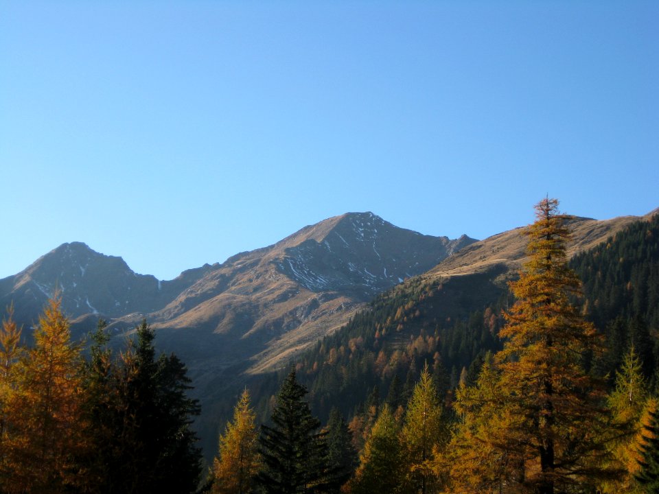 Ultner Hochwart und Reatspitz von Clazner Alm