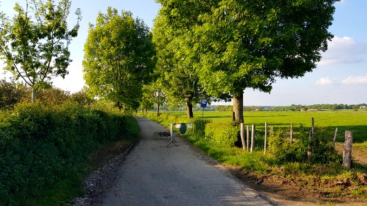 Ulvend-wegafsluiting richting Schey (1)
