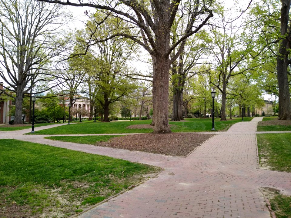 UNC campus during COVID-19