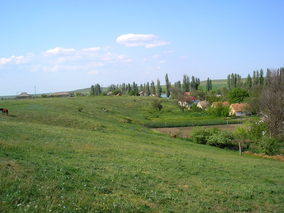 Ukrainskoe 4