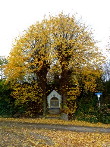 Ulestraten-Kapel Groenstraat-Genzonweg (1)